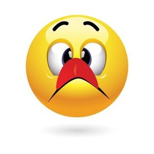 Meet your Posher, Flores